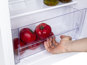 Холодильник Beko TS190020 nalichie